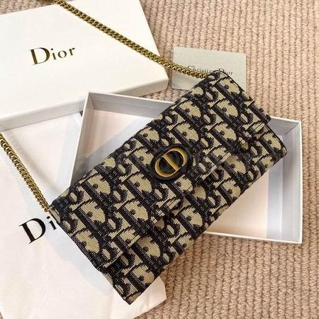 DIOR Handbags 13